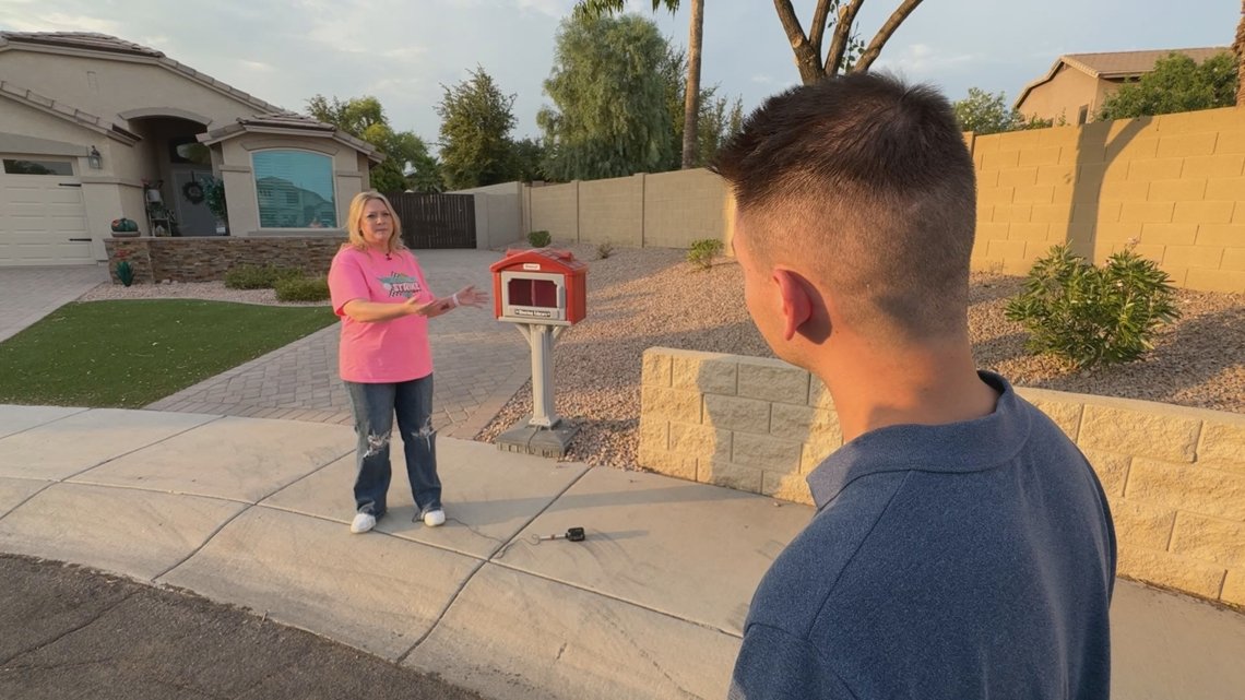 Gilbert homeowner left wondering why thief would take off with children's books from her 'sharing library'