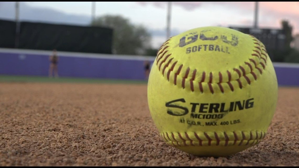 Willcox sends girls' softball team to the Little League World Series