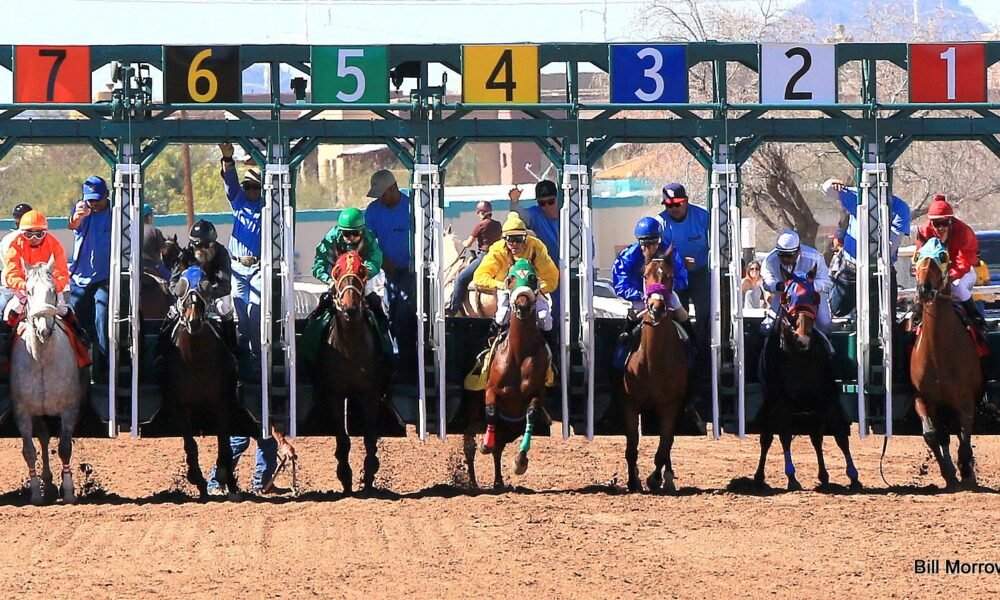 Conflict of interest a hitch for Rillito Park horse racing RFP