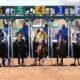 Conflict of interest a hitch for Rillito Park horse racing RFP