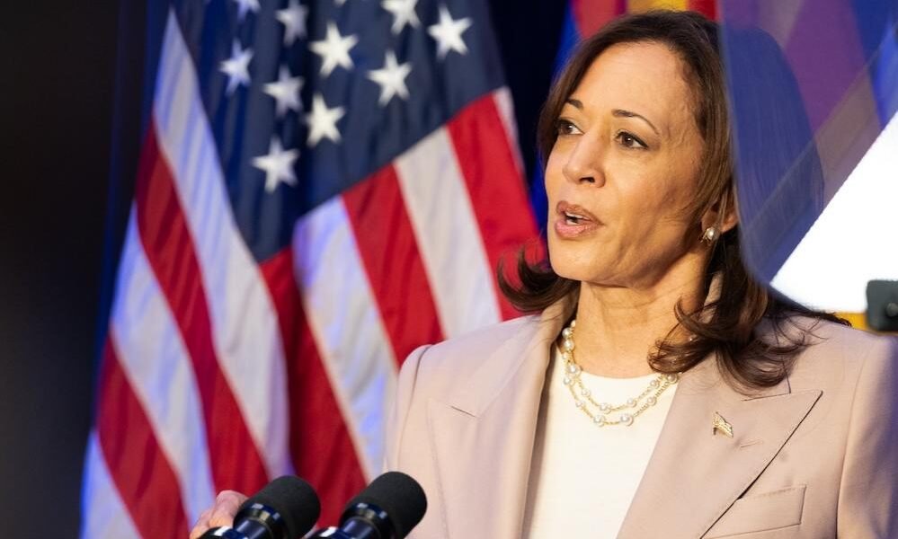 Racist, misogynist online disinformation already being used against Kamala Harris’ campaign