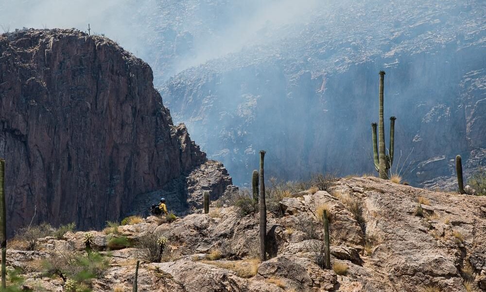 Forest Service will burn tree piles on Mt. Lemmon as part of forest-clearing efforts