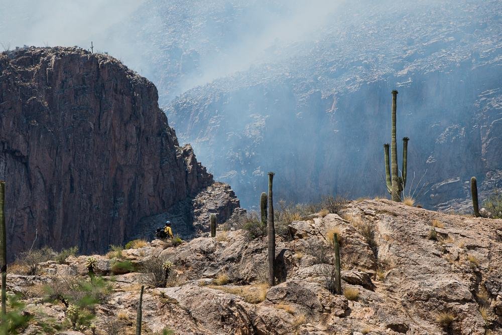 Forest Service will burn tree piles on Mt. Lemmon as part of forest-clearing efforts