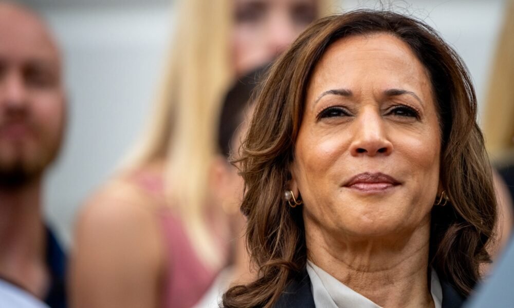 Democratic delegates swiftly give Harris enough support to clinch presidential nomination