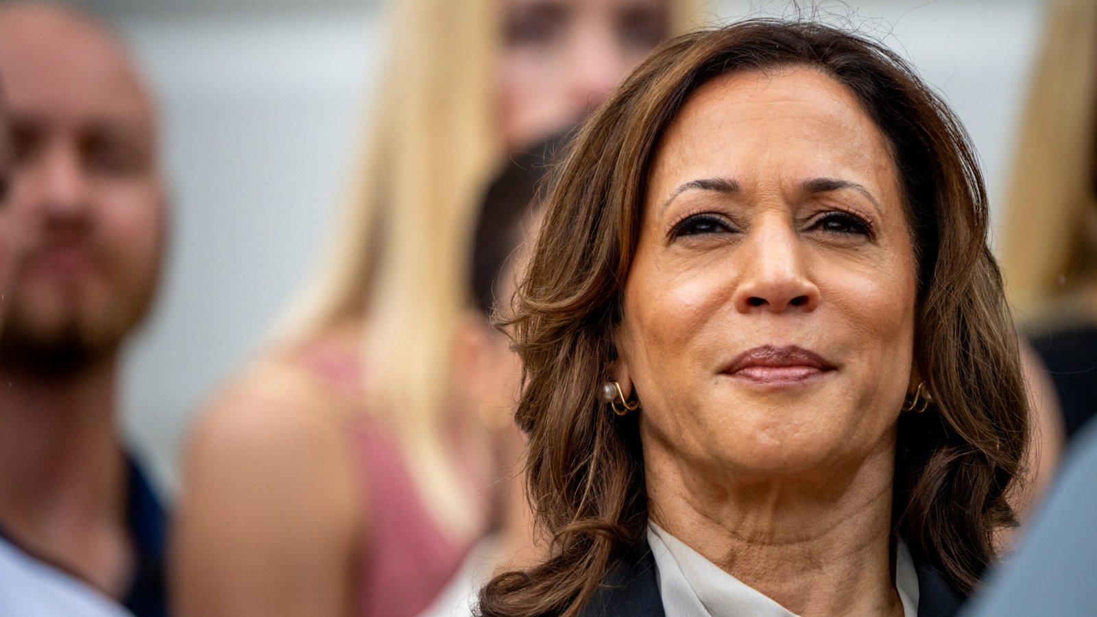 Democratic delegates swiftly give Harris enough support to clinch presidential nomination