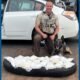 30 pounds of meth seized during Flagstaff traffic stop