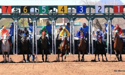 Conflict of interest a hitch: No 2025 Rillito Park horse racing season