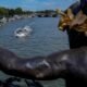 Triathlon cancels Olympic swim training for the second day over poor water quality in the Seine