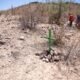 Arizona heat kills many migrants, and some bodies are never recovered