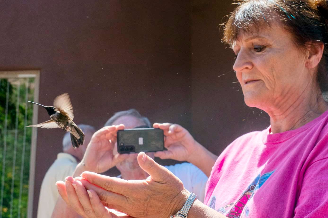 Sedona Hummingbird Festival returns for 10th year