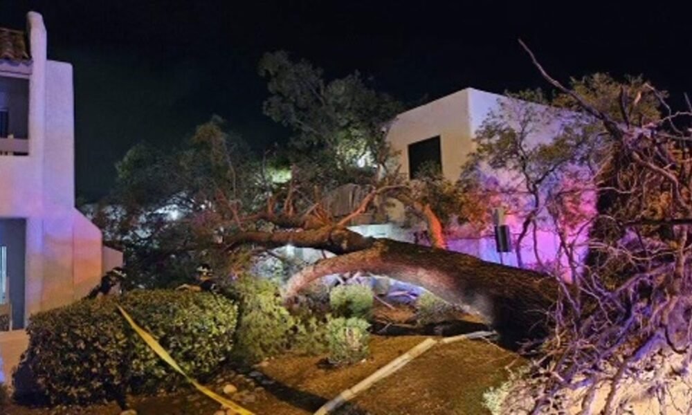 Residents rescued after tree falls into Scottsdale apartment complex