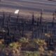 Over 100 palm trees damaged by fire during Tuesday's storms in West Valley