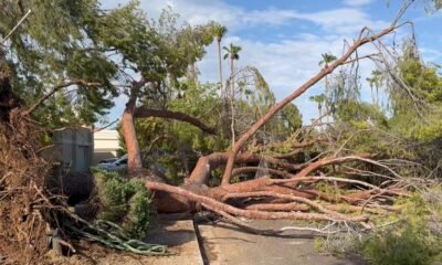 Scottdale residents shocked by monsoon storm damage