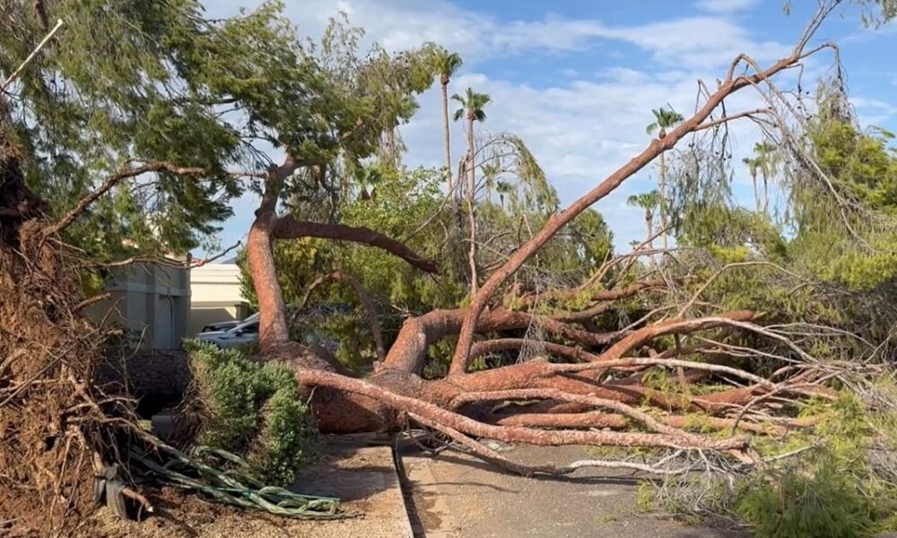 'I've never seen anything like this in Arizona before': 40-year residents of Scottsdale left stunned by intensity of Tuesday's storms