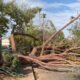 'I've never seen anything like this in Arizona before': 40-year residents of Scottsdale left stunned by intensity of Tuesday's storms