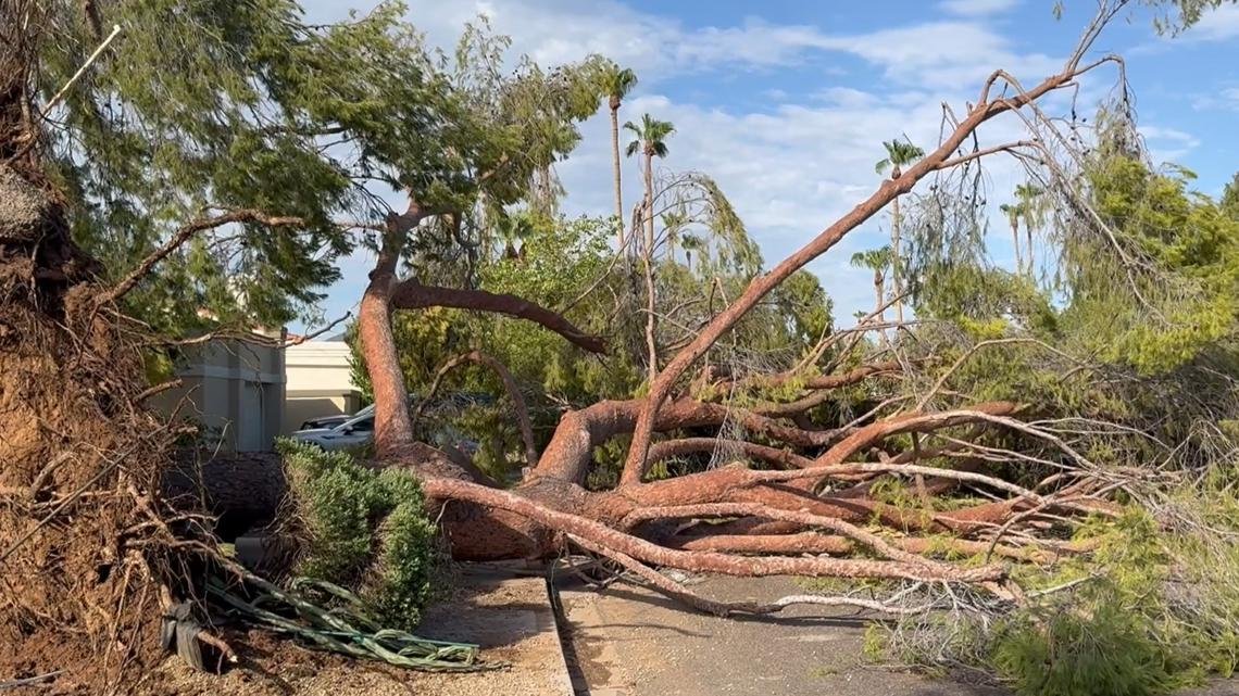 'I've never seen anything like this in Arizona before': 40-year residents of Scottsdale left stunned by intensity of Tuesday's storms