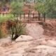 One missing, hundreds still stranded in Havasu Canyon after Thursday flash floods