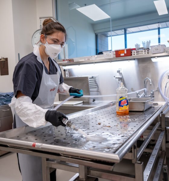 Intern Abigail Brown assists in cleanup after an exam at the Pinal County Medical Examiner's Office on Aug. 4, 2023. [Bryan Mordt]