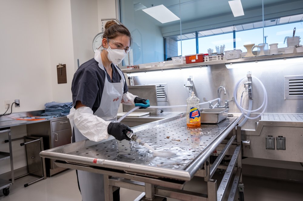 Intern Abigail Brown assists in cleanup after an exam at the Pinal County Medical Examiner's Office on Aug. 4, 2023. [Bryan Mordt]