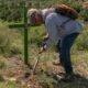 Artist who marks Az desert deaths with crosses doesn't want to be 'St. Alvaro'