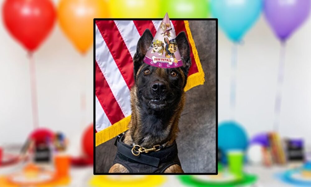 On her 4th birthday, here’s our 4 favorite K9 Karma moments