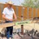 The arrastre at Cave Creek Museum showcases the early days of mining