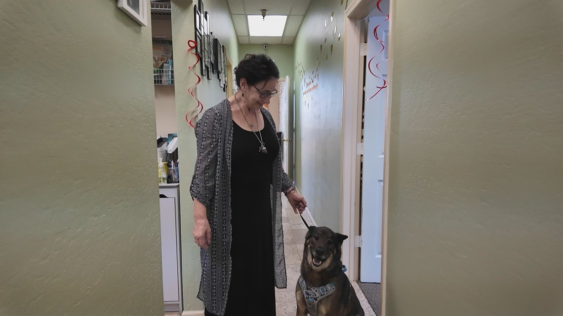 Scottsdale woman credits her pup with saving her from injury as roof tile flies through her window