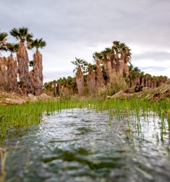 Hualapai Tribe sues feds over lithium mining project near sacred spring