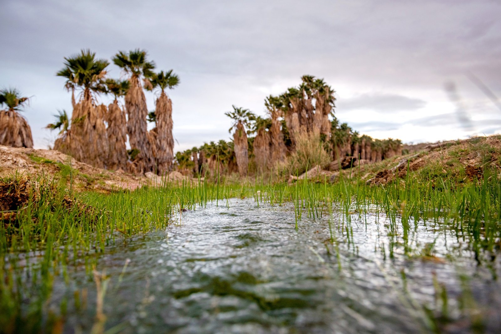 Hualapai Tribe sues feds over lithium mining project near sacred spring