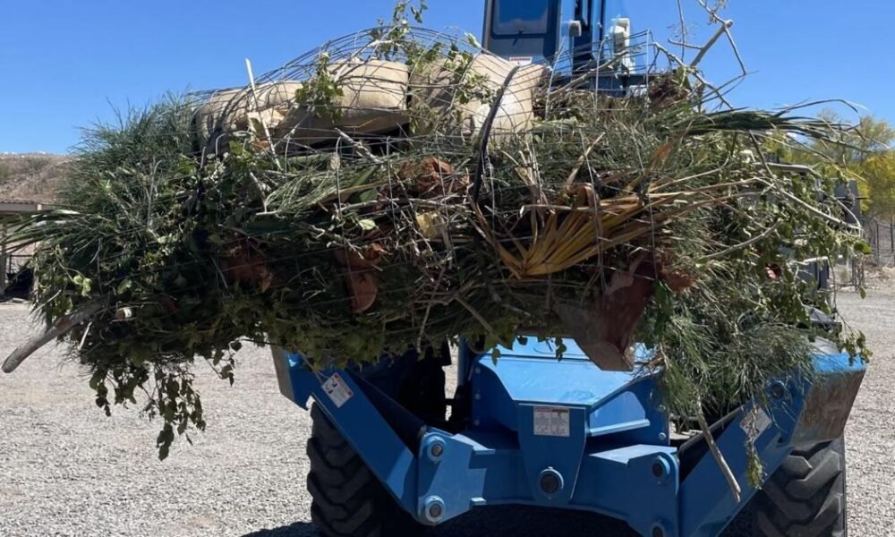 BLM, volunteers continue to create fish habitats in Lake Havasu