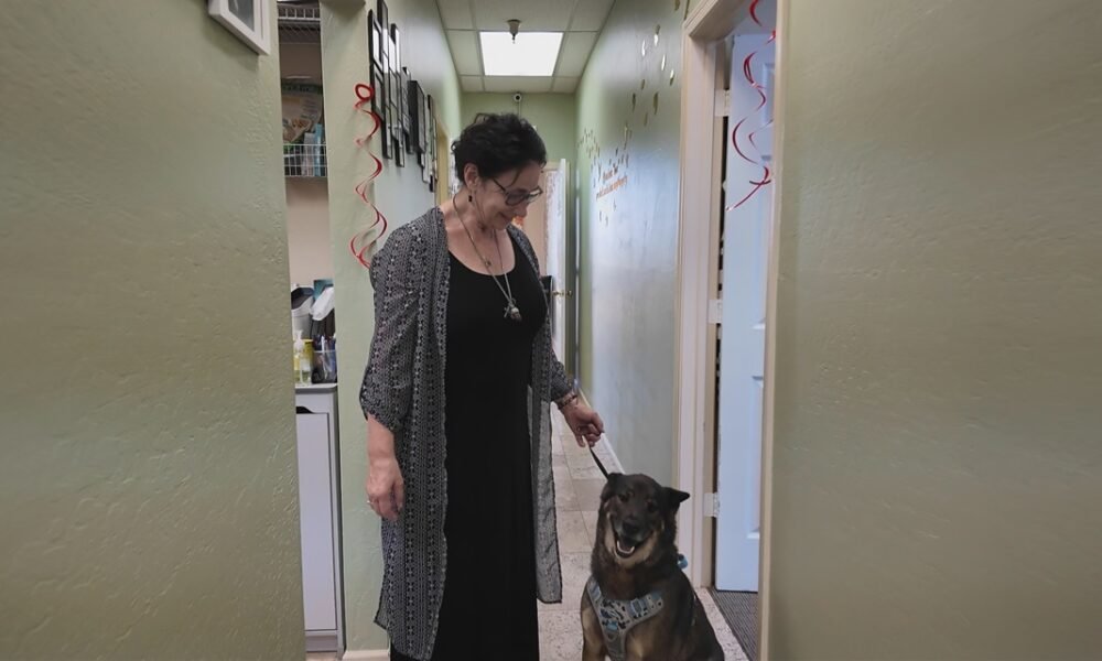 'Because we also rescued him, he's just paid it back and rescued me,' Scottsdale woman says dog alerted her to danger