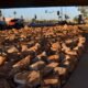 Tucson drops $200k in rocks at Downtown underpasses frequented by homeless