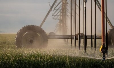 Groundwater regulation weaknesses exploited by industrial-scale agriculture