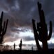 Phoenix to see wet, cool conditions from Tropical Storm Ileana