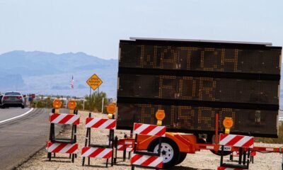 ADOT to erect cattle guard following burro captures