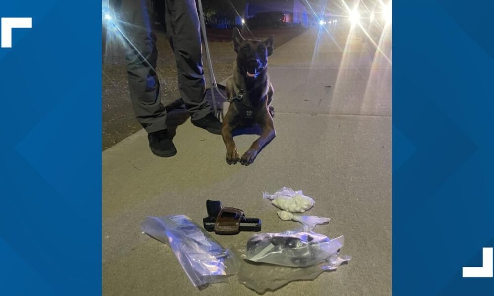 Mesa police K9 sniffs out drugs during traffic stop