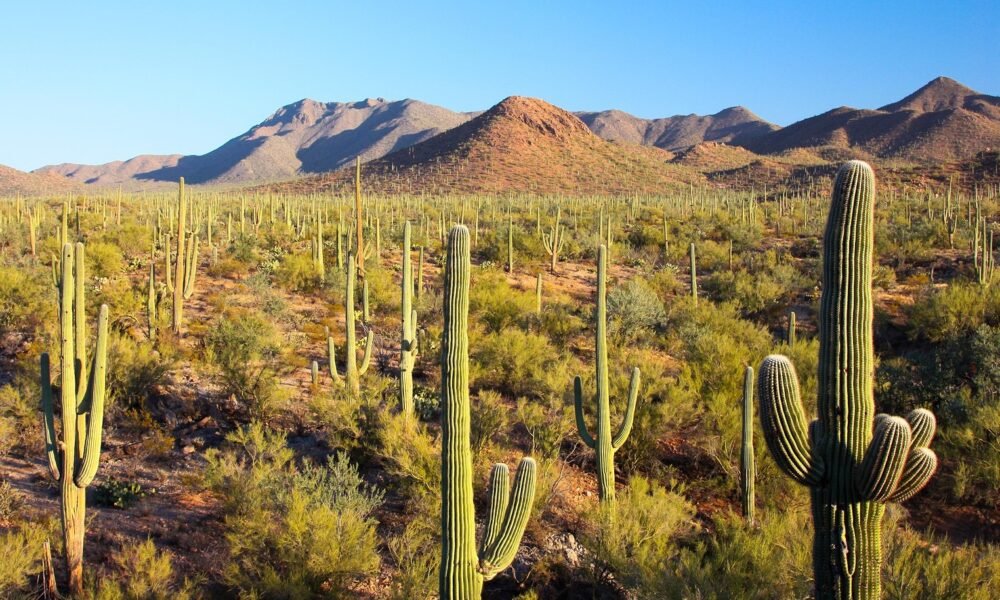 National Park Day: Free entrance to Arizona parks, monuments Sept. 28