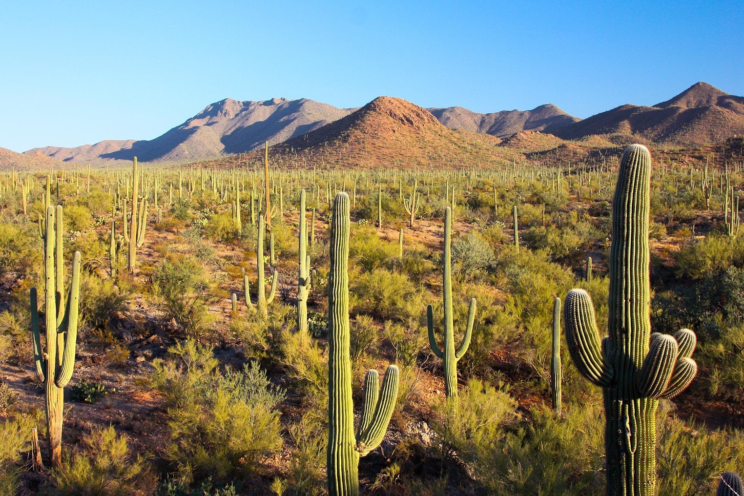 National Park Day: Free entrance to Arizona parks, monuments Sept. 28