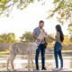 Peruvian wildlife tour without leaving Maricopa? Alpaca bag