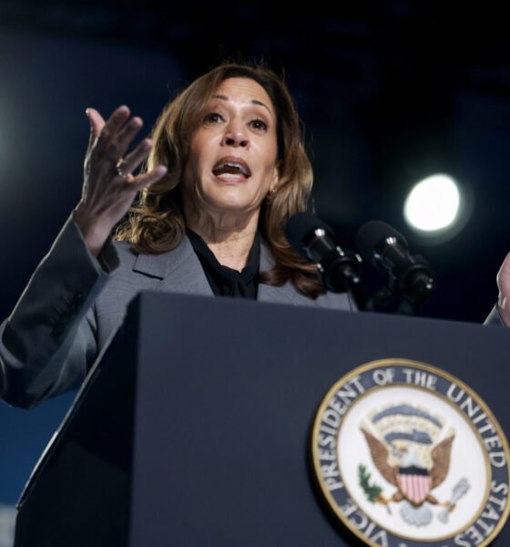 Harris presses Trump to debate again, and Democrats launch ‘chicken’ billboards