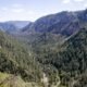 USFS works to reinstate mining ban in Oak Creek Canyon