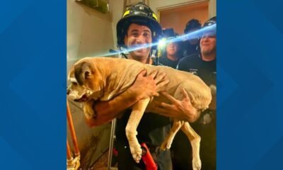 Dog removed from tube after 7-hour rescue operation in Scottsdale