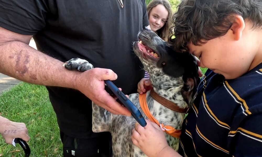 Family dog finds 11-year-old boy under several feet of rubble after mudslide during Helene