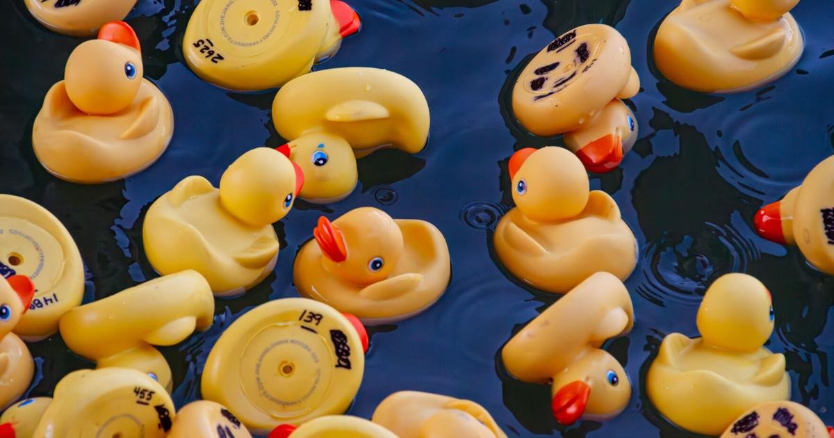 Humane Society returns beneath London Bridge with 'Duck Derby' event