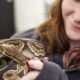 Snakes and Ladders: Local woman finds purpose in combination exotic pet, game store