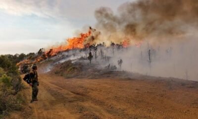 BLM plans prescribed burning at Hualapai Mtns, Parker