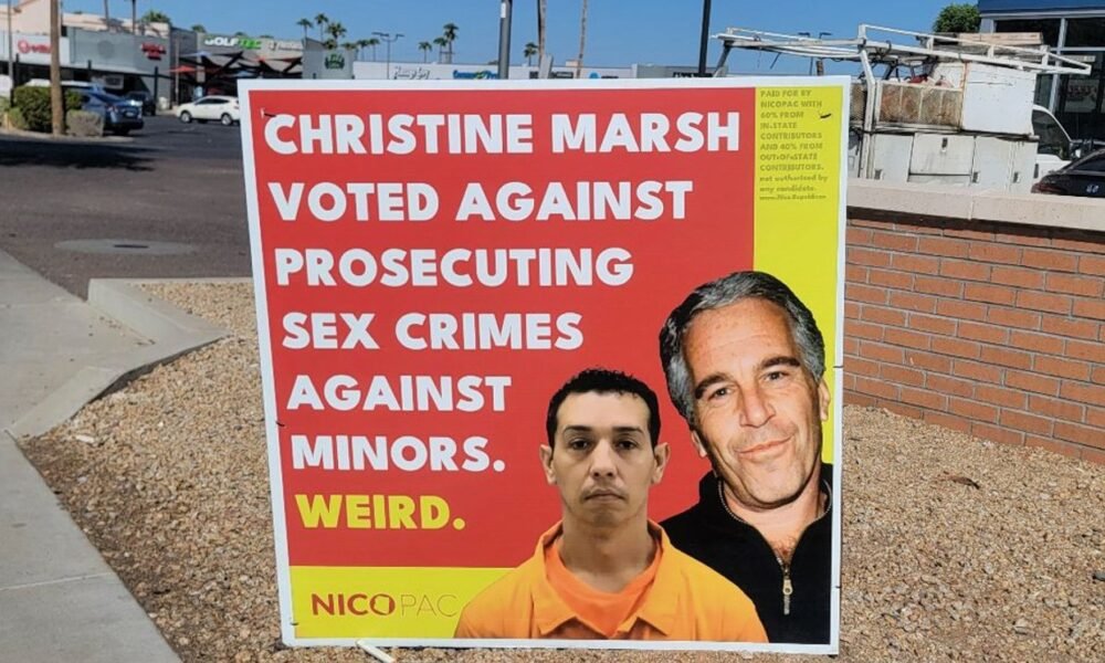 Arizona teen uses Jeffrey Epstein signs to smear state senator