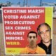 Arizona teen uses Jeffrey Epstein signs to smear state senator