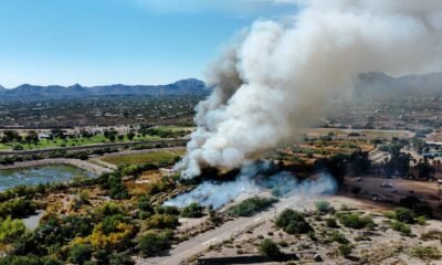 Controlled burn Tuesday at Sweetwater Wetlands to deal with mosquitos, invasive plants