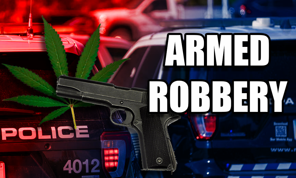 Armed robbery involving Marijuana graphic.